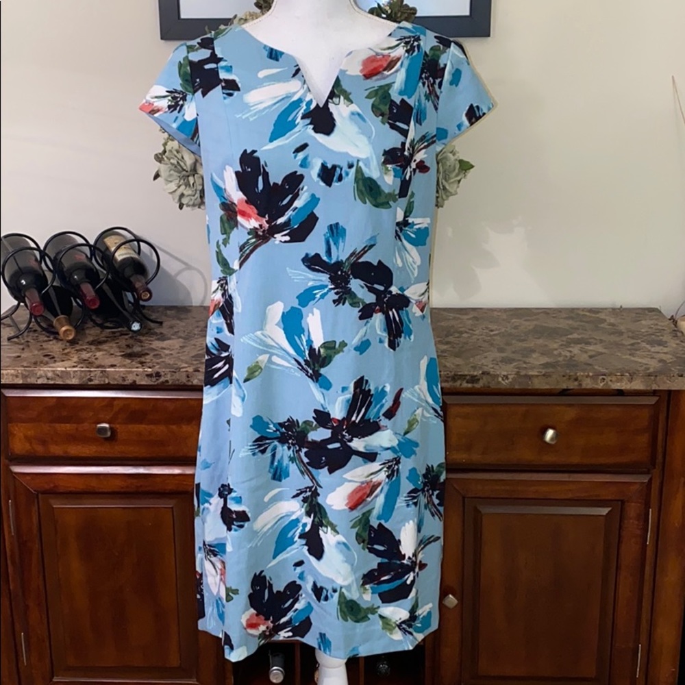 The Limited dress